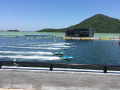 IMG_5162.jpg IMG_5162.jpg