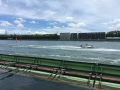 IMG_5532.jpg