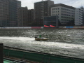 IMG_6522.jpg