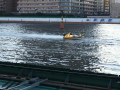 IMG_7360.jpg