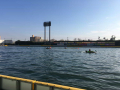 IMG_8013.jpg IMG_8013.jpg