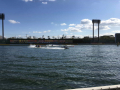 IMG_8113.jpg IMG_8113.jpg