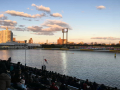 IMG_8146.jpg IMG_8146.jpg