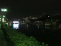 IMG_1398.jpg