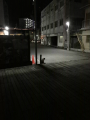 IMG_1402.jpg