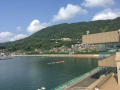 IMG_2207.jpg IMG_2207.jpg