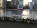 IMG_2565.jpg