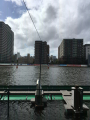 IMG_2960.jpg IMG_2960.jpg