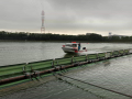 IMG_7155.jpg
