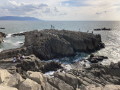 IMG_7348.jpg