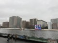 IMG_7730.jpg