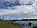 IMG_7851.jpg