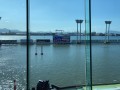 IMG_7902.jpg IMG_7902.jpg