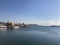 IMG_8007.jpg