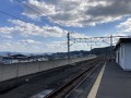 IMG_8141.jpg