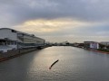 IMG_8432.jpg