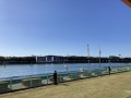 IMG_8455.jpg