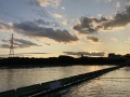 IMG_8472.jpg