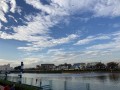IMG_8508.jpg