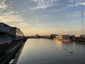IMG_8511.jpg