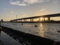 IMG_8648.jpg