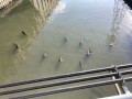 IMG_9336.jpg IMG_9336.jpg
