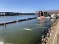 IMG_9440.jpg IMG_9440.jpg