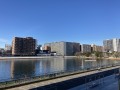 IMG_9673.jpg