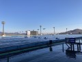 IMG_9778.jpg