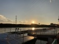 IMG_9884.jpg