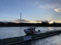 IMG_9904.jpg