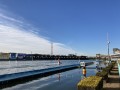 IMG_9929.jpg