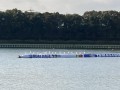 IMG_9958.jpg