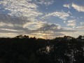 IMG_0343.jpg IMG_0343.jpg
