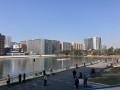 IMG_0374.jpg
