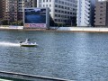IMG_0398.jpg IMG_0398.jpg