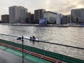 IMG_0502.jpg