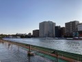 IMG_0558.jpg