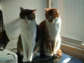 DSCF3481.jpg