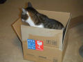DSCF3483.jpg