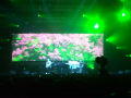 DSCF5247.JPG