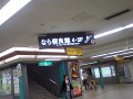 667196587_201.jpg