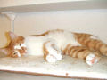 DSCF3771.jpg