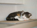 DSCF3769.jpg