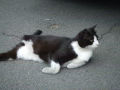DSCF3968.jpg