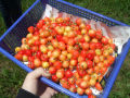 DSCF3985.jpg