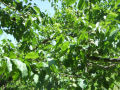 DSCF3972.jpg