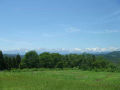 DSCF3990.jpg