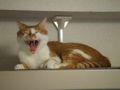 DSCF4041.jpg
