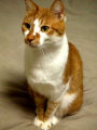 DSCF5499.JPG
